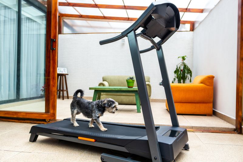 Treadmill Moving